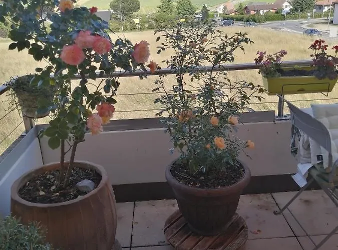 Naitarg Home, Aclens, One Family At A Time Appartamento *