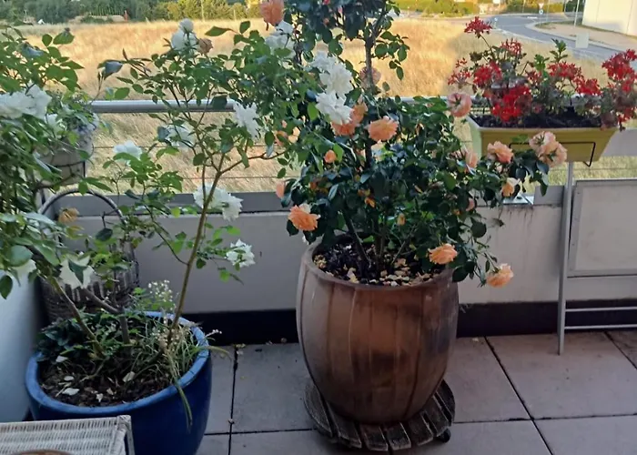 Naitarg Home, Aclens, One Family At A Time * Gollion